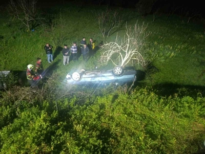 Domuza &ccedil;arpan otomobil u&ccedil;uruma yuvarlandı
