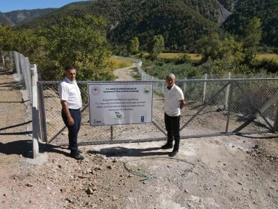 Domuzların talan ettiği çeltik tarlaları, devlet desteğiyle yeniden verimli hale getirildi
