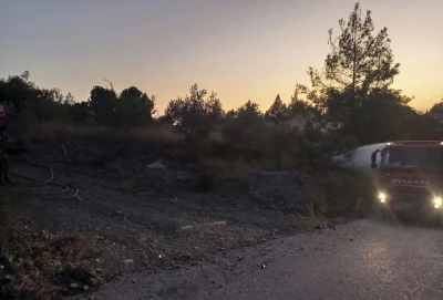 Dörtyol’da orman yangını büyümeden söndürüldü
