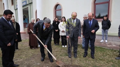DP&Uuml;&rsquo;de fidan dikimi etkinliği
