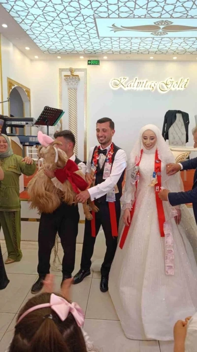 D&uuml;ğ&uuml;nde altın değil ke&ccedil;i takıldı
