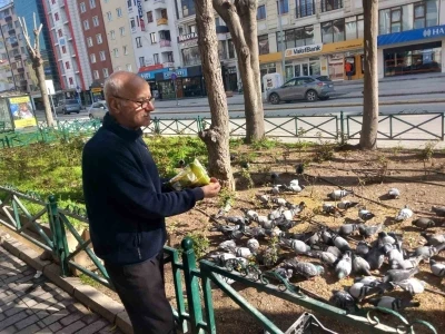 D&uuml;kkanının &ouml;n&uuml;ne gelen onlarca g&uuml;vercini doyuruyor
