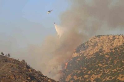 D&uuml;nyaca &uuml;nl&uuml; travertenlerin yakınındaki ormanlık alanda yangın
