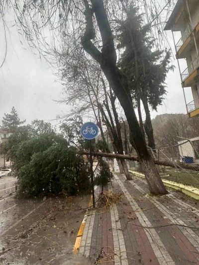 Dursunbey&rsquo;de fırtına ağa&ccedil;ları ve &ccedil;atıları u&ccedil;urdu

