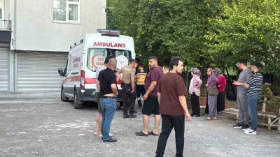 Dut toplarken ağa&ccedil;tan d&uuml;ş&uuml;p yaralandı
