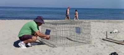 Duyarlı gen&ccedil;lerin ihbarı sayesinde, caretta yuvası koruma altına alındı
