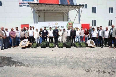 D&uuml;zce &ccedil;ift&ccedil;isine fide ve damla sulama sistemi desteği
