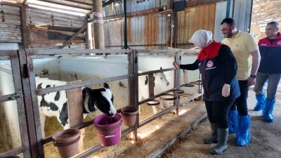 D&uuml;zce&rsquo;de ari işletme sayısı artıyor
