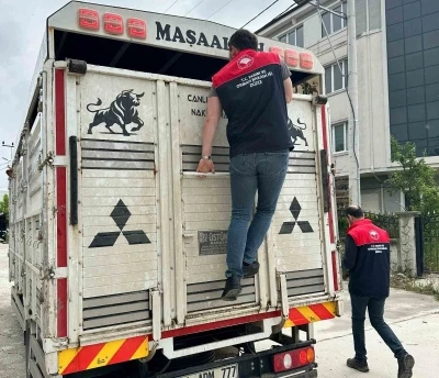 D&uuml;zce&rsquo;de artan hayvan haraketliliği denetim altında
