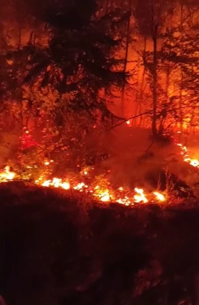 Düzce’de bir bölgede daha orman yangını çıktı
