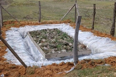 D&uuml;zce&rsquo;de &Ccedil;am Kese b&ouml;ceğiyle m&uuml;cadele başladı
