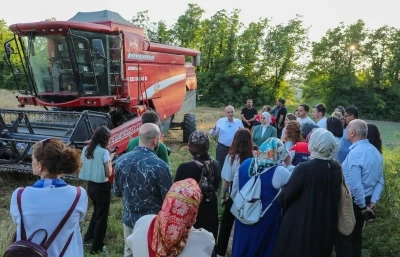 D&uuml;zce&rsquo;de ilk kez yetişen siyez buğdayının hasadı yapıldı
