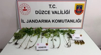 D&uuml;zce&rsquo;de jandarmadan uyuşturucu operasyonu
