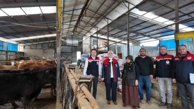 D&uuml;zce&rsquo;de kadın yetiştiriciye et&ccedil;i ırk d&uuml;ve desteği
