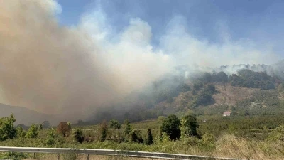 Düzce’de orman yangını 5. saatinde
