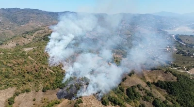 Düzce’de orman yangını
