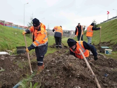 D&uuml;zce&rsquo;de parklarda alt yapı &ccedil;alışmaları s&uuml;r&uuml;yor
