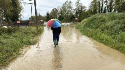 D&uuml;zce&rsquo;de sağanak k&ouml;pr&uuml; yıktı, tarım arazileri ve evleri su bastı
