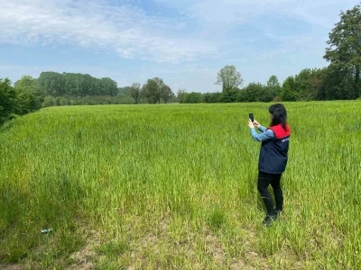 D&uuml;zce&rsquo;de tarım arazileri uydu destekli denetleniyor
