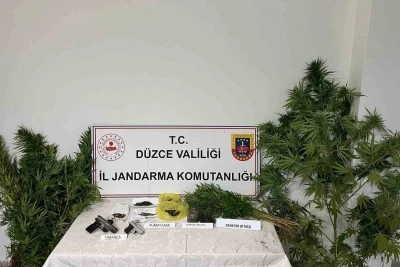 Düzce’de uyuşturucu operasyonunda 1 tutuklama
