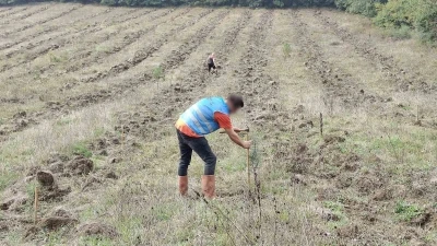 Düzce’de yanan orman alanları &quot;Adalet Ormanı&quot; ile yeniden yeşerecek
