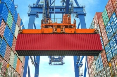 D&uuml;zce&rsquo;den 4 bin 135 ton orman &uuml;r&uuml;n&uuml; ihra&ccedil; edildi
