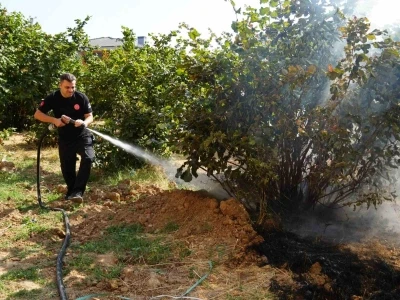 D&uuml;zce İtfaiyesi 3 ayda 300 anız yangınına m&uuml;dahale etti
