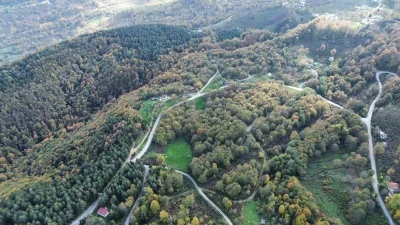 Düzce ormanlarında &quot;renk cümbüşü&quot; yaşanıyor
