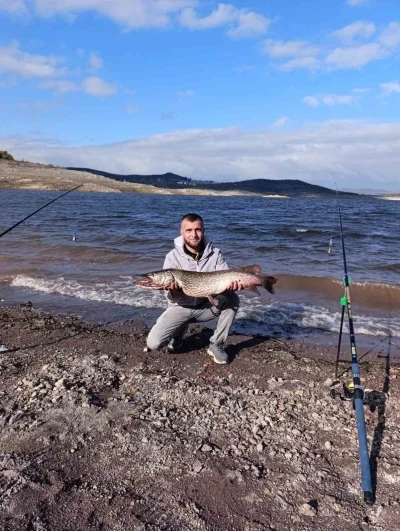 (D&uuml;zeltme) Sındırgı&rsquo;da dev turna balığı yakalandı
