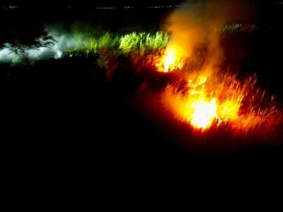 Eber G&ouml;l&uuml;&rsquo;nde &ccedil;ıkan yangın sulak alana ulaşınca kendiliğinden s&ouml;nd&uuml;
