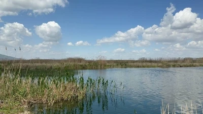 Eber Gölü’nde su seviyesi 5 santimetreye kadar düştü
