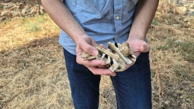 Ecdada saygısızlık: Kırımizade Şeyhinin mezarı talan edildi
