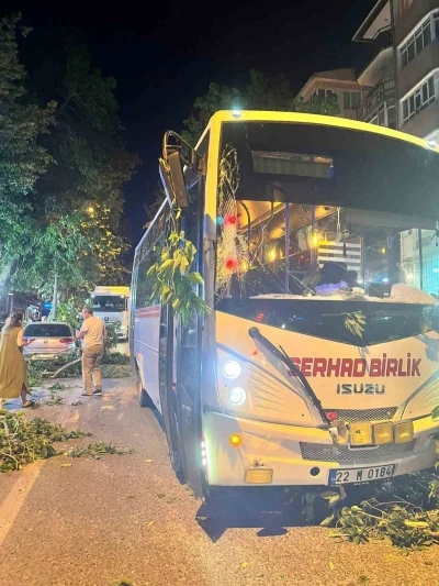 Edirne’de ağaç devrildi, 2 araç hasar gördü
