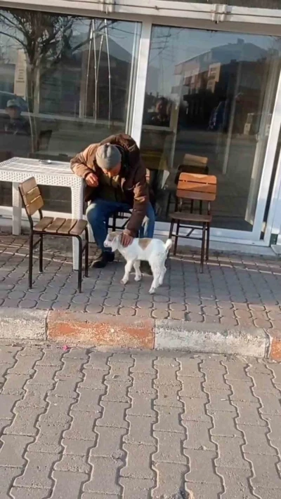 Edirne&rsquo;de de "ke&ccedil;i ile alışveriş" keyfi
