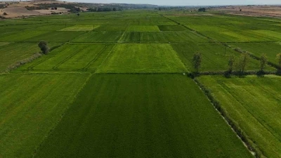 Edirne’de sağanak yağış ekili ürünlere can suyu oldu
