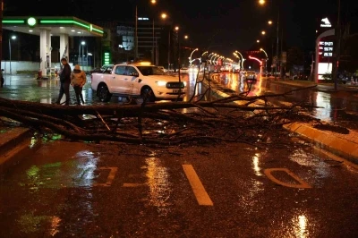 Edirne’de sağanak yağış ve rüzgar, ağacı devirdi
