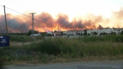 Edirne’de tarlada çıkan yangın ormanlık alana doğru ilerliyor
