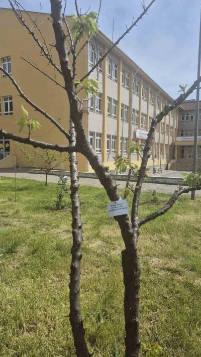 Edirne İlhami Ertem Anadolu Lisesi &ouml;ğrencilerinden anlamlı etkinlik
