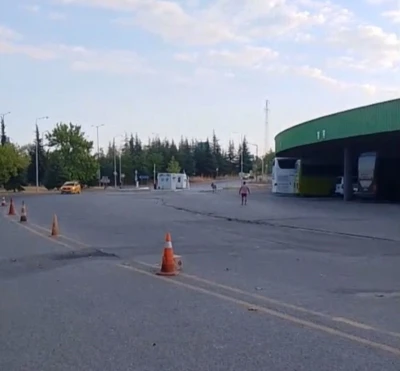 Edirne Otogarı’nda ilginç anlar: Eşek bu kez otobüs şoförünün yastığını çaldı
