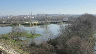 Edirne Yıldırım Mahallesi&rsquo;nde hayvan &ccedil;iftlikleri su altında
