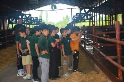 Edremit&rsquo;te D&uuml;nya S&uuml;t G&uuml;n&uuml;&rsquo;nde &ccedil;ocuklara &ccedil;iftlikte uygulamalı eğitim
