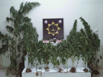 Edremit’te uyuşturucu operasyonu: Esrar ve kenevir ele geçirildi
