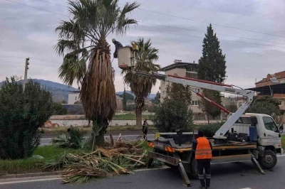 Efeler Belediyesi&rsquo;nden Umurlu Karayolu&rsquo;nda &ccedil;alışma
