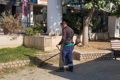 Efeler Belediyesi&rsquo;nden yeşil alanlarda &ccedil;alışma
