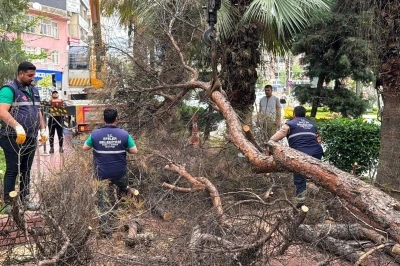 Efeler Belediyesi parkları g&uuml;venli hale getiriyor
