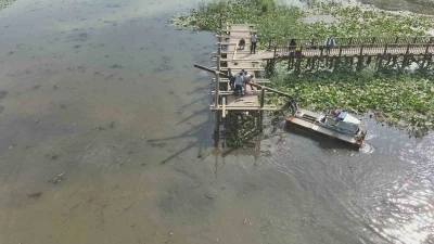 Efteni Gölü ahşap iskelesi yenileniyor
