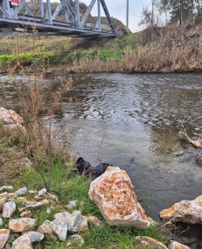 Ege Ekspresi&rsquo;nin &ccedil;arptığı yaya hayatını kaybetti
