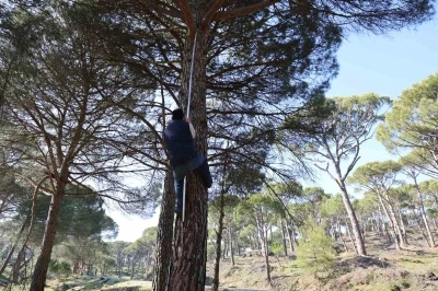 Ekmek parası i&ccedil;in komando gibi ağa&ccedil;lara tırmanıyorlar
