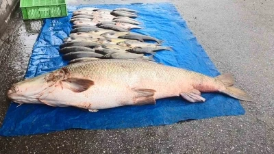 Elazığ&rsquo;da 52 kilogram ağırlığında turna yakalandı
