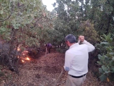 Elazığ’da ağaçlık alanda yangın

